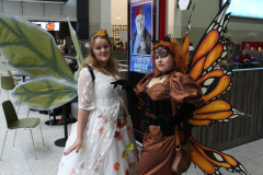 Steampunk Faeries